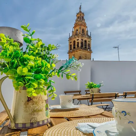 Deanes & Casco Historico * 科爾多瓦