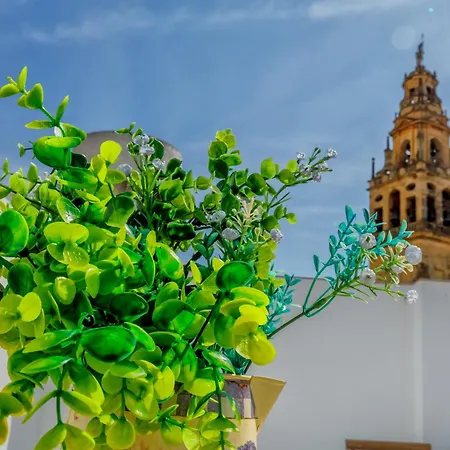 Deanes & Casco Historico Appartamento *