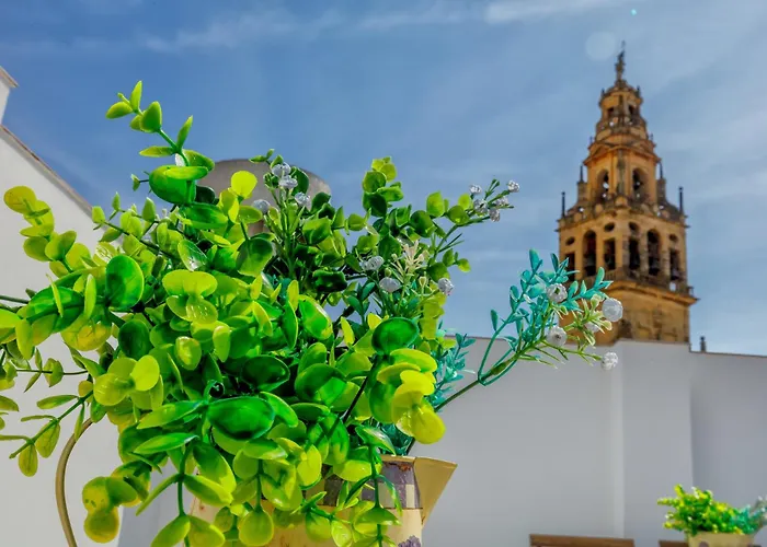 Deanes & Casco Historico Appartement *